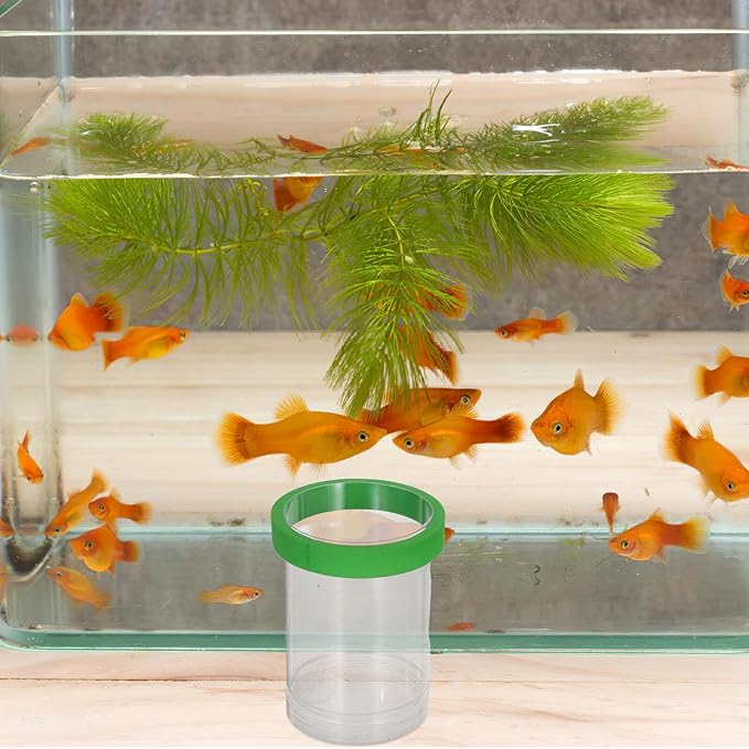 Beaupretty Floating Fish Breeding Box Egg Incubator System with Isolation Chamber Mesh Net for Aquarium Guppy Fry Hatchery Tank Green Small Size Suitable for Fish Tank Breeding
