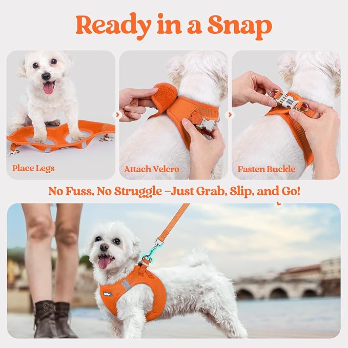 rabbitgoo Dog Harness Medium Sized and Leash Set, Step in Soft Light Puppy Vest, Breathable Mesh Pet Harness, Reflective for Safe Easy Walking, Orange XXL