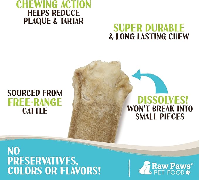 Raw Paws 5-inch Compressed Rawhide Rolls for Dogs, 20-ct - Packed in The USA - Pressed Rawhides for Dogs - Free-Range Raw Dog Hide Chews - Natural Dog Chew Sticks for Puppies & Small Breeds