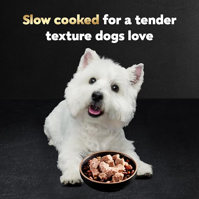 Cesar Classic Loaf in Sauce Adult Wet Dog Food Beef Recipe, Wet Food for Dogs, 3.5 oz Easy Peel Trays, 24 Count
