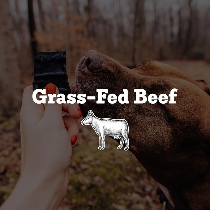 Farm Hounds - Beef Trainers - Premium Natural Beef Jerky for Dogs - Made from 100% Humanely Raised Cattle - Easy-Break - Great for Training & Treats - No Added Fillers - Made in USA - 4.5 oz - 2 Pack