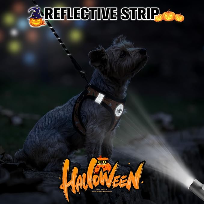BEAUTYZOO Step in Dog Harness and Leash Set,Floral Pattern Reflective Dog Harness No Pull No Choke Puppy Harness for Small Dogs Cats,Soft Padded Mesh Vest Harnesses for Girl and Boy Pets,Halloween S