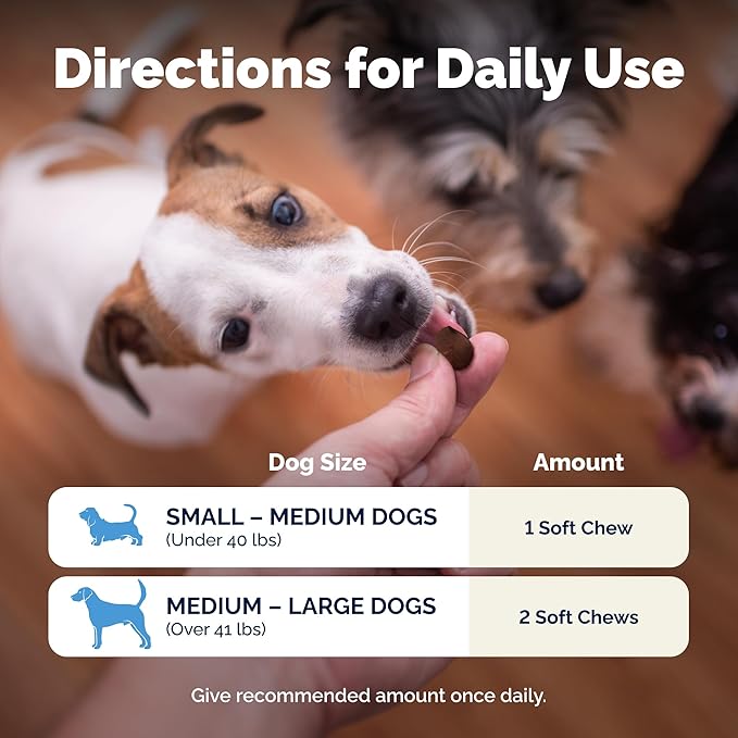 Vetnique Glandex Daily Probiotics for Dogs with Prebiotics to Support Gut Health with Fiber and Digestive Enzymes, Dog Probiotic Chews or Powders (60ct Chews, Bacon Chews)