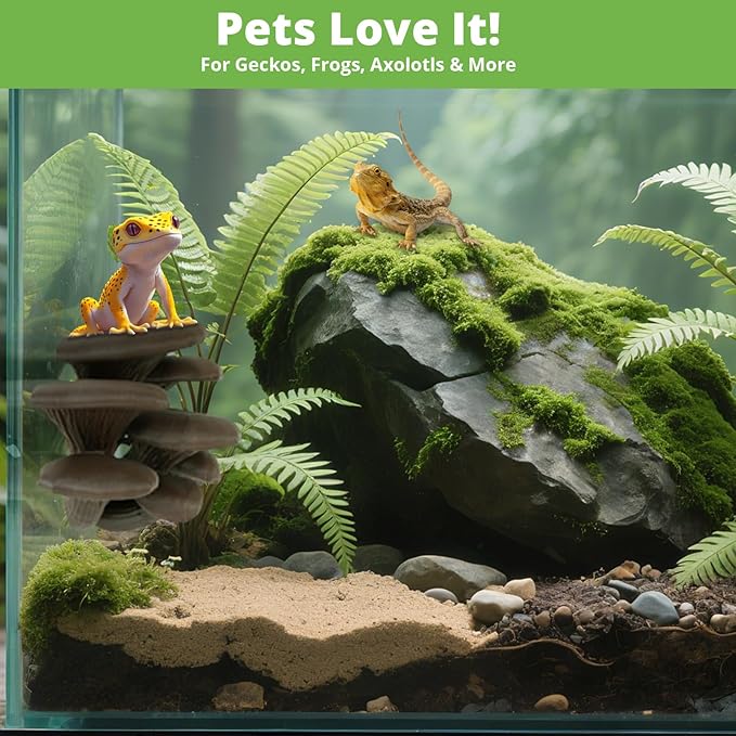 Mushroom Decor for Reptile Tank, Fish Tank, Pet-Safe Bearded Dragon Tank Accessories, Realistic Terrarium Plants for Leopard Geckos, Crested Geckos, Tree Frogs, Snakes (Forest, Cluster Cap)
