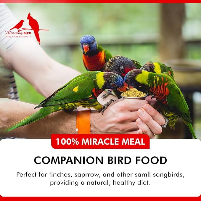 Morning Bird Miracle Meal 3 lbs (2-Pack, 1.5 lbs Each) – Vitamin Fortified Soft Bird Food for Birds - All-Natural No Artificial Dyes, Flavors or preservatives - Supports Feather Strength & Breeding