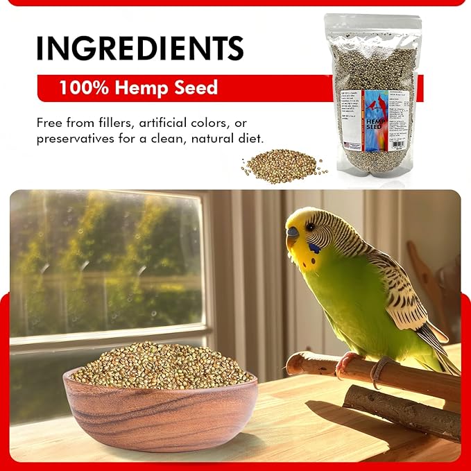 Morning Bird Hemp Seeds 1.5 lbs – Natural Superfood Seed – High in Natural Protein, Healthy Fats, Omega 3 and 6 Fatty Acids, Delicious Natural Flavor, Supports Feather Growth & Overall Health
