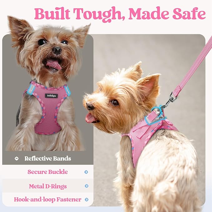 rabbitgoo Dog Harness Small Sized and Leash Set, Step in Soft Light Puppy Vest, Breathable Mesh Pet Harness, Reflective for Safe Easy Walking, Pink & Plaid Trim M