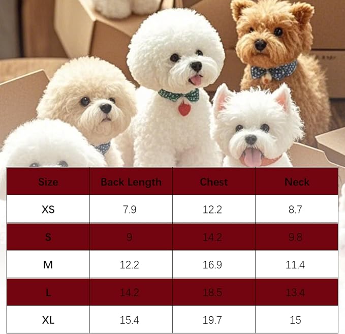 4 Pcs Cat Shirts Solid Color Dog Clothes Summer Sleeveless Pet T Shirts for Small Pet Dogs Cat (Black,Grey,Red,Orange, Large)