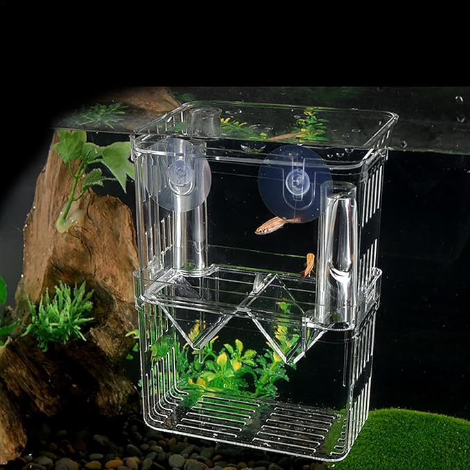 1/2 Fish Acclimation Box - Acrylic Hatchery Incubator Tank, Fish Breeder Box with 2 Suction Cups | Easily Install Breeding Isolation Box, Floating Breeding Box for Baby Fishes Shrimp Betta Guppy