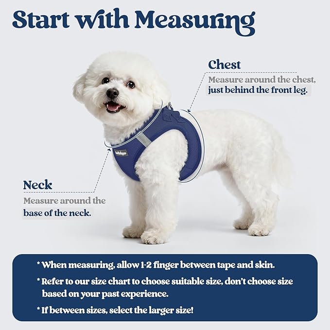 rabbitgoo Dog Harness Small Sized and Leash Set, Step in Soft Light Puppy Vest, Breathable Mesh Pet Harness, Reflective for Safe Outdoor Walking, Navy Blue M