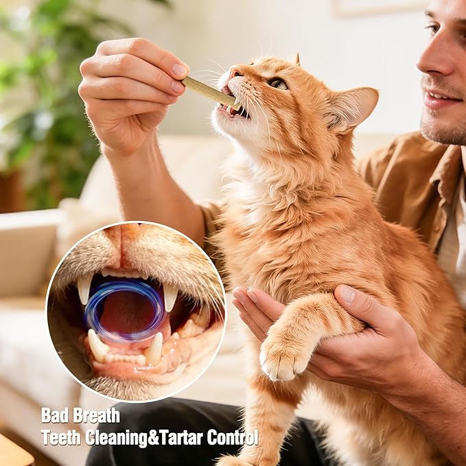 Freezed Dried Cat Teething Sticks, Cat Chew Stick for Dental Care, 1.78 oz Salmon and Chicken Flavour Cats Treats, Feline Freshens Breath Snacks