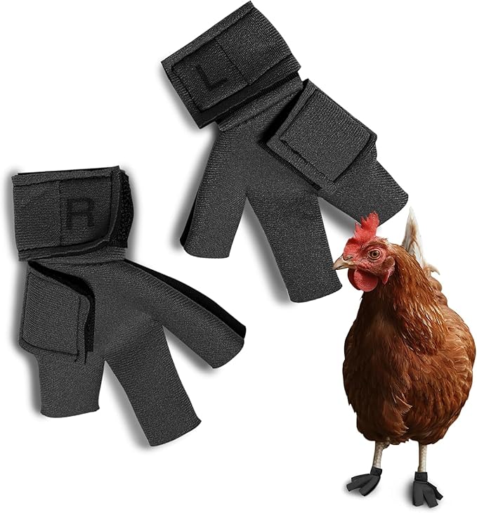 Chicken Shoes for Injured Feet – Protective Neoprene Footwear for Chicken, Open-Toe Design for Bumblefoot Relief, Made in USA (Chicken Shoes, Gray, Medium Chickens)
