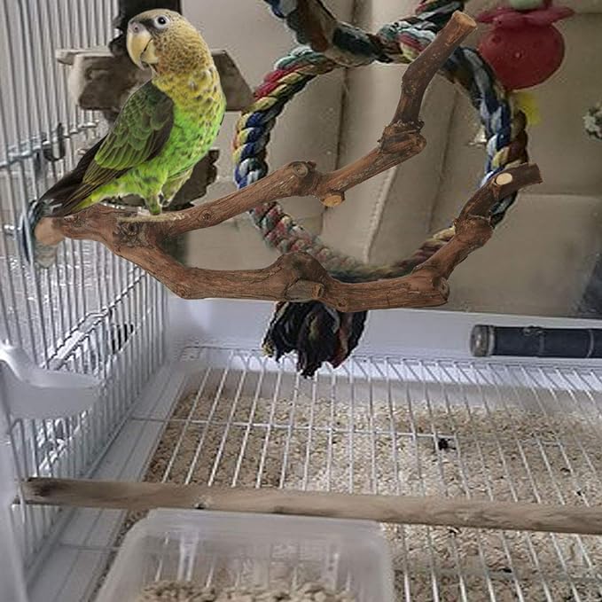 kathson Natural Parrot Perch Bird Stand Pole Wild Grape Stick Paw Grinding Fork Parakeet Climbing Standing Branches Toy Chewable Cage Accessories for Small Budgies Cockatiels Lovebirds 3PCS