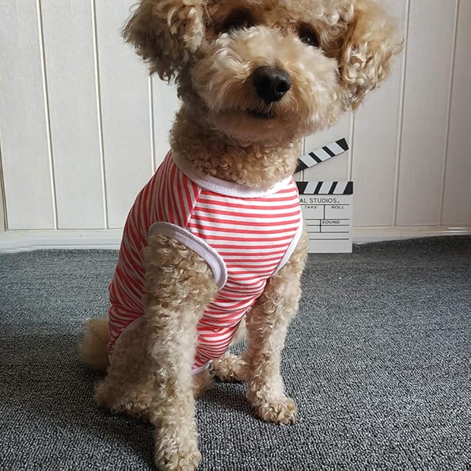 Dog’s Recovery Suit Post Surgery Shirt for Puppy, Wound Protective Clothes for Little Animals(red White Stripe-m)