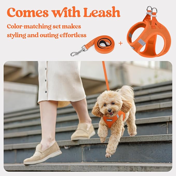 rabbitgoo Dog Harness Medium Sized and Leash Set, Step in Soft Light Puppy Vest, Breathable Mesh Pet Harness, Reflective for Safe Easy Walking, Orange XXL