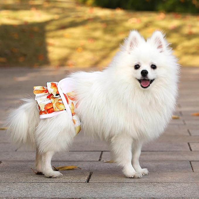 Dog Diapers Female Washable (3 Pack), Reusable Dog Period Diapers Female Doggie Diapers Puppy Diapers Female Dog Diapers for Heat, Incontinence, Excitable Urination,M