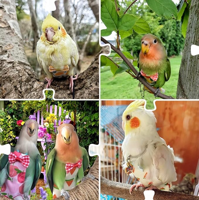 2 Pcs Bird Diapers Bird Harness Flight Suits Diapers with 80in Flying Leash Reusable Parrot Nappy with Waterproof Inner Layer for Cockatiel Budgie Conure Parakeet Lovebird-Watermelon&Orange
