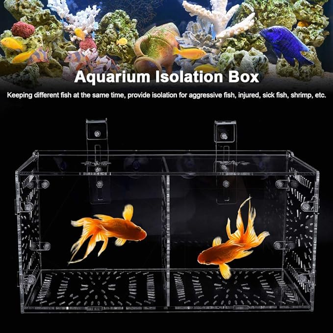 Fish Tank Breeding Box Aquarium Isolation Box Transparent Acrylic Fish Tank Incubation Box for Aggressive Injured Sick Fish Shrimp 15x15x15cm 30x15x15cm 20x20x20cm (30CM*15CM*15CM)