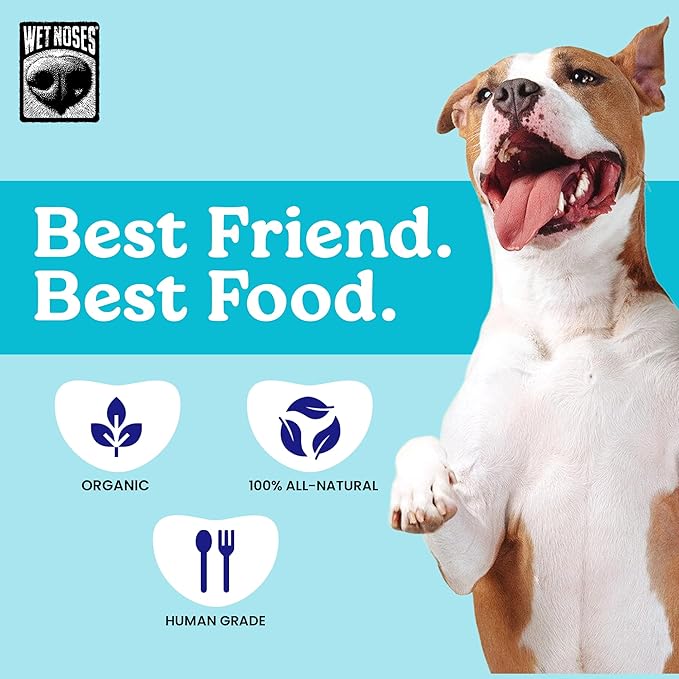 Wet Noses Organic Crunchy Dog Treats – All-Natural, Human-Grade, Non-GMO, Healthy Training & Delicious Snacks for Dogs, for All Dog Sizes & Breeds – Grain Free Peanut Butter & Molasses, 14oz (2 Pack)