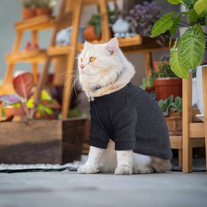 Idepet Sphynx Hairless Cats Sweater Shirt Kitten Soft Puppy Clothes Pullover Cute Cat Pajamas Jumpsuit Cotton Apparel Pet Winter Turtleneck for Cats and Teacup Chihuahua Small Dogs(Black,XL)