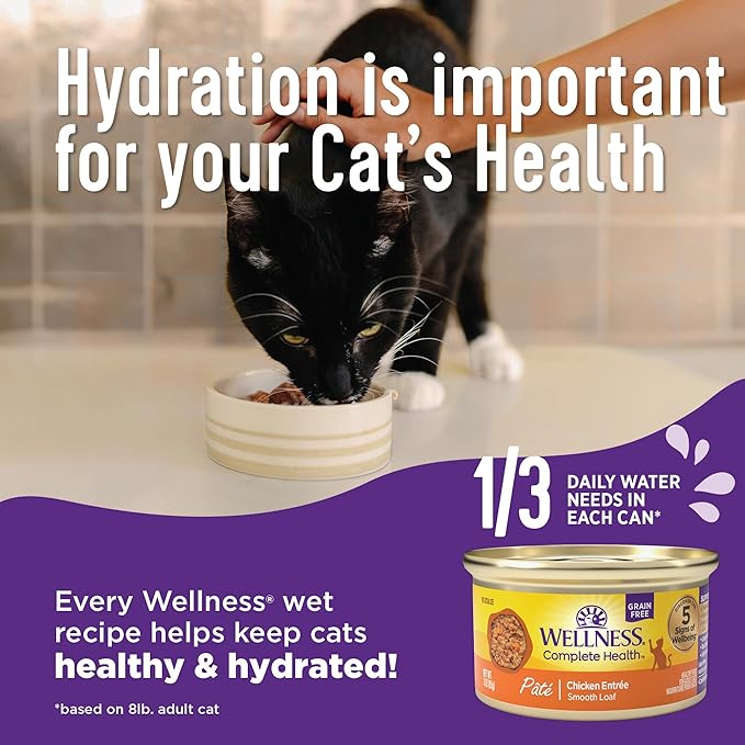 Wellness Complete Health Pate Adult Wet Cat Food,Natural,Protein-Rich,Grain-Free,3 Ounce,(Seafood Favorites Variety Pack),(Pack of 48)