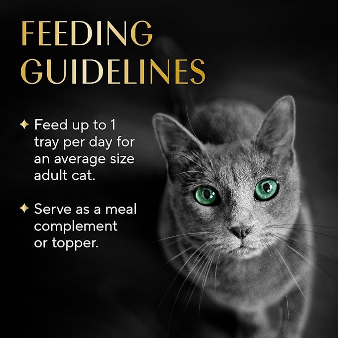 Sheba Selections Filets in Broth, Adult Cat Food Wet Recipe, Meal Complement, Wet Cat Food Variety Pack, Chicken & Tuna Recipe, 1.3 oz. Cups, 12 Count