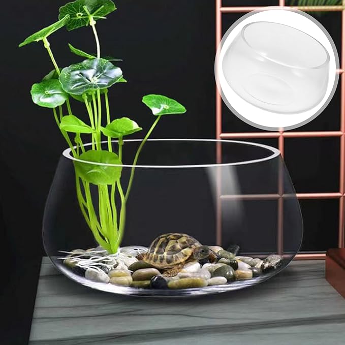 Thickened Round Glass Turtle Tank Mini Aquarium Fish Bowl for Home Desktop Micro Landscape Aquatic Plants Vase