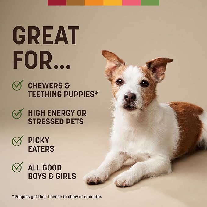 Earth Animal No Hide Chews - Long Lasting Rawhide Free Small Dog Chews Rolls, Pork - 2 Count