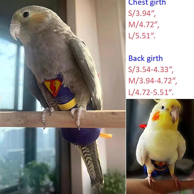 Parrot Flight Suit Diaper (Without Leash) - Reusable Bird Diaper for Budgies, Lovebirds, Cockatiels, and More - Fabric Bird Suit (Blue Superman-M)