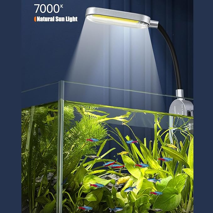 1.5 Gallon Fish Tank Starter Kits and 4pcs Replacement Filter Pad