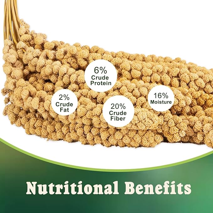RANZ 1LBS Spray Millet Treat for Pet Birds, Hand-Harvested Bird Snack, Natural Sun-Dried Millet Spray for Parakeets, Parrots, Cockatiels, Lovebirds, Budgies, Finches, Canaries