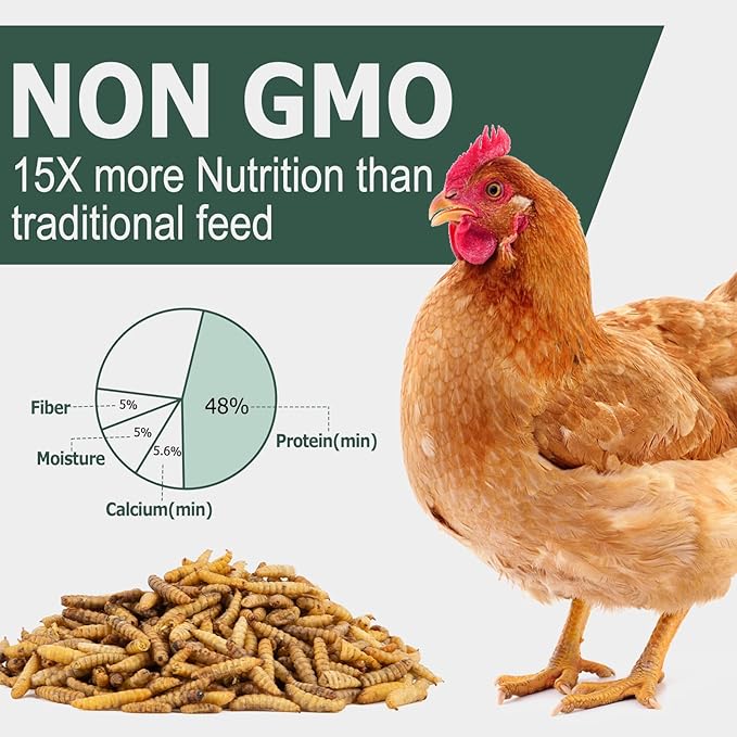 2LB Dried Black Soldier Fly Larvae for Chickens Treats Bulk, Non GMO BSF Larvae 85X More Calcium Than Dried Mealworms for Laying Hens, Chicken Worms for Wild Birds