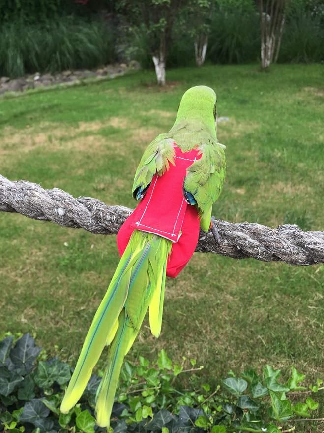 Parrot Diaper Bird Flight Suit, Bird Clothes, Waterproof Lining Pet Bird Supplies (2XL, Red)