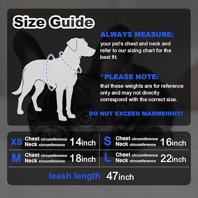 Dog Harness Medium Sized Dogs, Puppy Harness and Leash Set for Training, Running, Walking, Suitable for Small and Medium Dog Vest, Black, S
