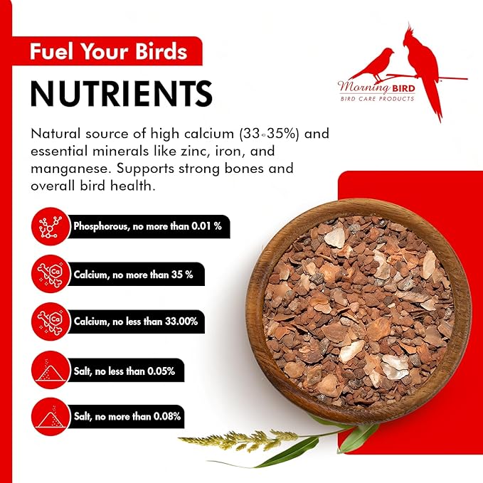 Morning Bird Pigeon Grit - Healthy & Nutritious Pigeon Food to Support Strong Muscles & Bones for Grit Eating Birds - Supports Digestion & Packed with Essential Minerals, 1.5 lbs