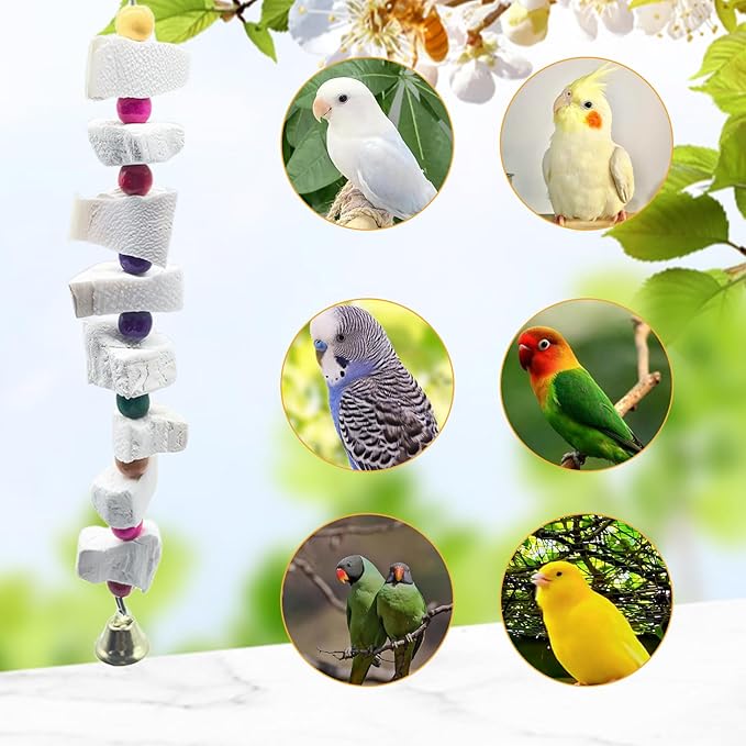 2 Pack Bird Toys, Parakeet Toys with Cuttlebone, Natural Cuttle Bone Bird Beak Grinding Stone & Parrot Chew Cuttlebone Cage Accessories with Bell for Budgie, Conure, Lovebird - 12 Pieces