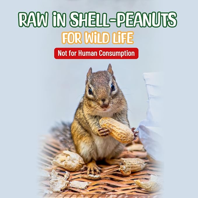 Premium Quality Raw Peanuts in Shell - 8 Pounds – All-Natural Food for Squirrels, Deer, Birds, and Other Wildlife Animals – Grown in The USA for Healthy Nutrition