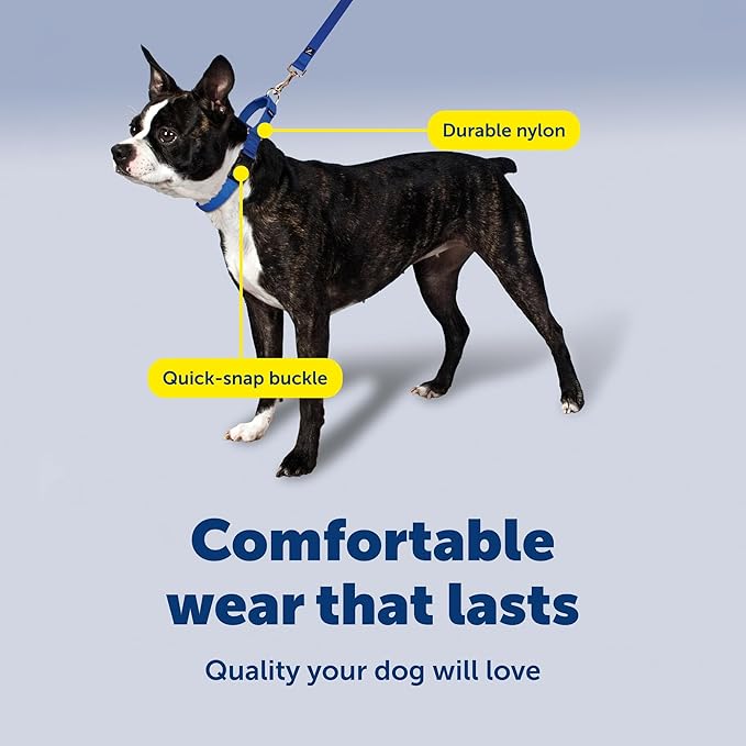 PetSafe Martingale Collar with Quick Snap Buckle - Humane Gentle Correction for Safer Walks - Adjustable No-Slip Design - Durable Nylon Material - Medium - Royal Blue