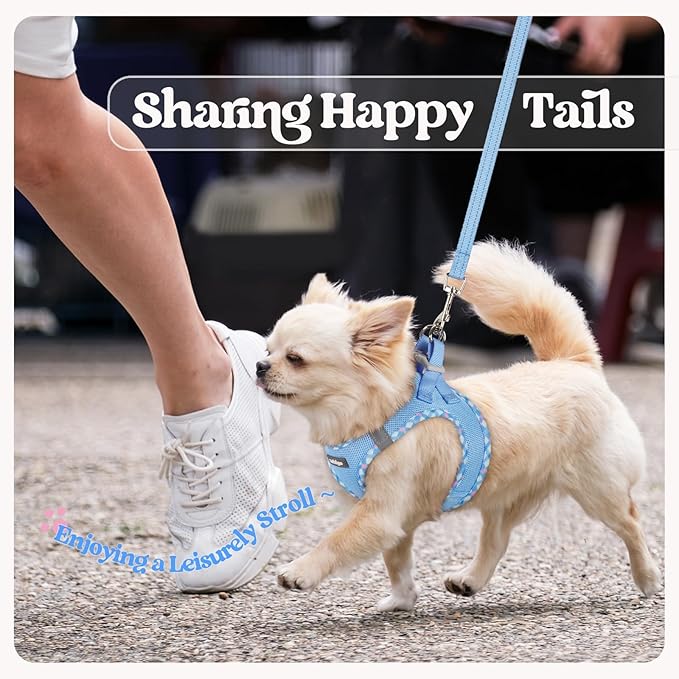 rabbitgoo Dog Harness Small Sized and Leash Set, Step in Soft Light Puppy Vest, Breathable Mesh Pet Harness, Reflective for Safe Easy Walking, Blue & Plaid Trim XXS