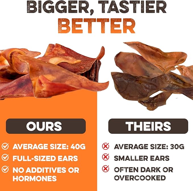 BRUTUS & BARNABY Whole Pig Ears for Dogs, 100 Ct. – All-Natural Single Ingredient Dog Chews, Slow Cooked & Fully Digestible Rawhide Alternative