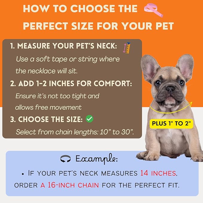 Initial Letter Cuban Chain Dog Chain Pet Chain Pet, Cat, Puppy Necklace (L, 12")