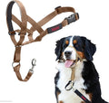Halti Headcollar - Stop Your Dog Pulling on The Leash. Adjustable, Reflective and Lightweight, with Padded Nose Band. Dog Training Anti-Pull Collar for Large Dogs (Size 4, Desert Sand)