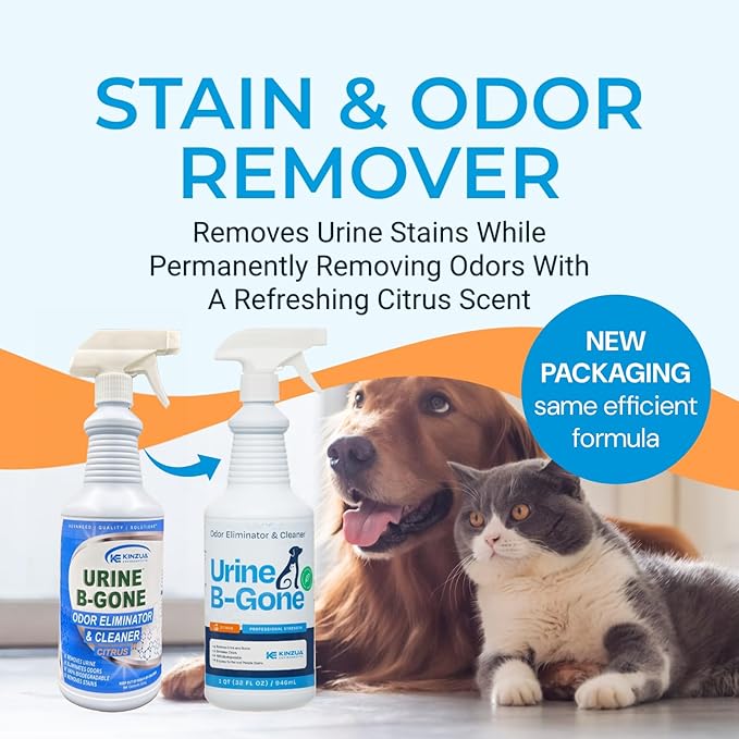 Urine B-Gone, Professional Enzyme Odor Eliminator & Pet Stain Remover, Human, Cat & Dog Urine Cleaner, Effective on Laundry, Carpets & More, Citrus Scent, 32oz, Pack of Two
