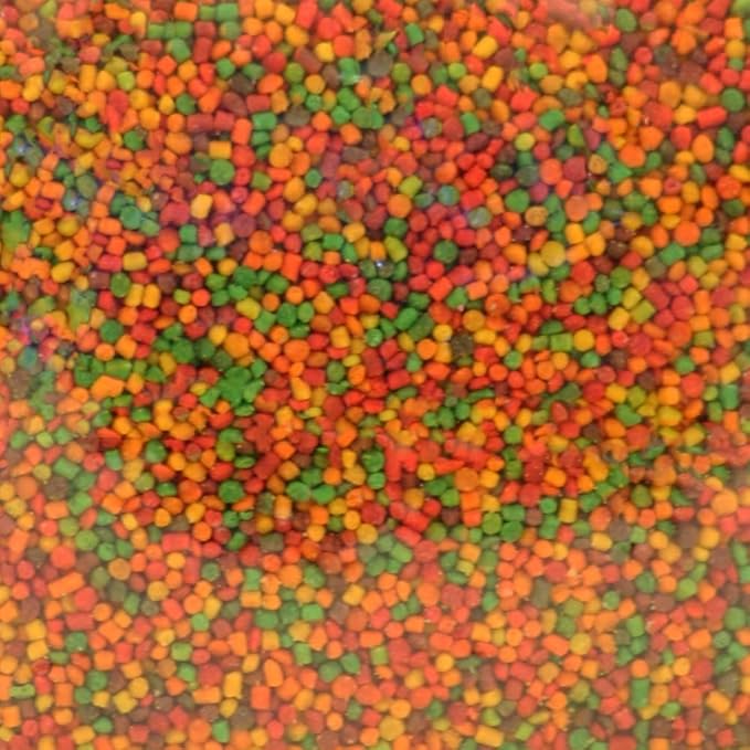 Pretty Bird Species Specific Lory Bird Food (3 Lbs.)