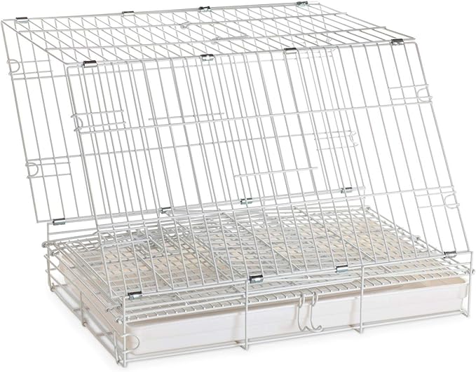 White Durable Metal Easy Foldable Travel Vet Carrier Perch Stand Metal Cage Prevent Your Parrot Bird Prevent Beaks Out Stainless Feeder Cups Natural Wooden Perch Stand