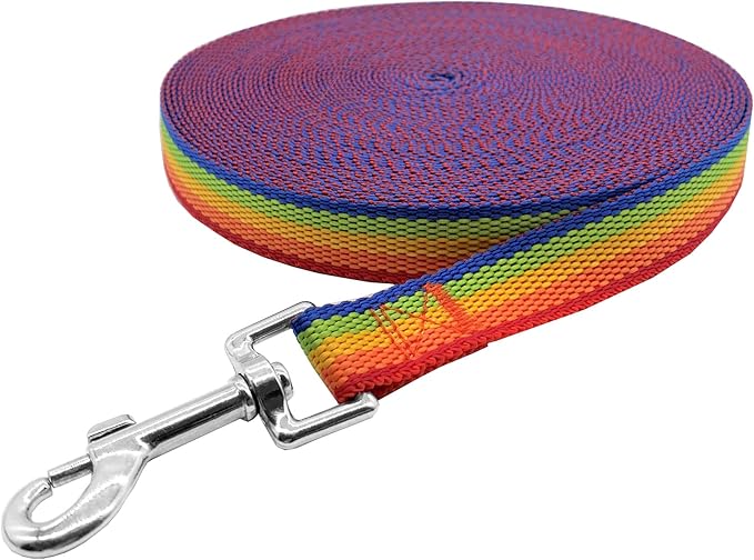 Nylon Training Dog Leash for Small Medium Large Dogs, 15ft 20ft 30ft 50ft Long Leash Dog/Puppy Lead for Obedience Recall Training, Camping (20ft, Rainbow)