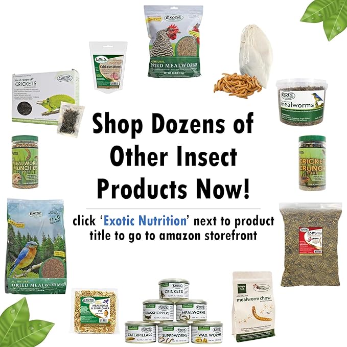 Dried Mealworms - 100% Natural, Non-GMO, High Protein, Bulk Insect Treat for Chicken, Laying Hen, Chick, Wild Bird, Bluebird, Duck, Goose, Turkey, Chickadee, Titmice, Wren, Reptile, Fish (5 lb.)