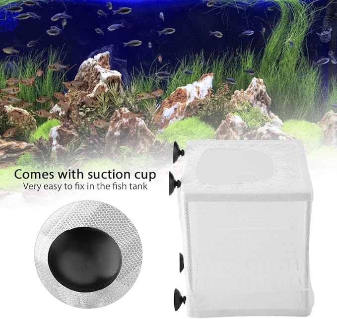 Fish Breeding Incubator, Fish Tank Breeder Net Multifunctional Isolation Mesh Box Fish Breeding Net Aquarium Fish Tank Incubator Breeder with Suction Cup for Fish Tank Breeder Box