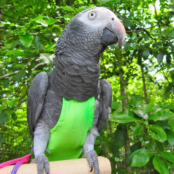 Avian Fashions FeatherWear FlightSuit Jumbo(13) Bird Diaper in Lime Green
