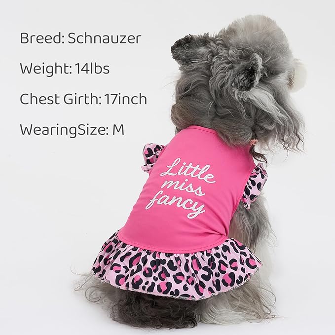 XPUDAC 4 Pack Cute Dog Dress for Small Dog, Floral Pet Clothes Sweet Girl Puppy Dress Colorful for Birthday Holiday Spring Summer Pet Outfits Skirt for Girls, S